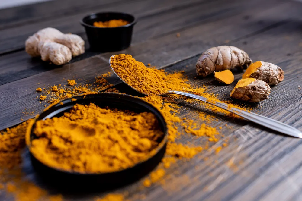 Turmeric roots and bright orange powder in a dish and on a spoon on a dark wooden table